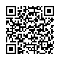 QR HAUSMANN PINZE SCHRAEG BLAU ED