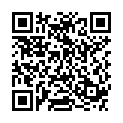 QR PHYTODOR ELEMENT FEUER REFILL