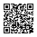 QR BORT STABILO HANDGBDGE HF GR3