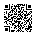 QR ABENA MEHRWEG-ESSSERVIETTE BLA