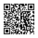 QR PRANAROM PFEFFERMINZE AETH