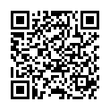 QR SATISFEET SCHRUN AIRLES DISPEN