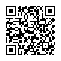 QR DIXA BIRKENBLAETTER PHEUR BIO