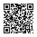 QR LOHMANN KREPP PAPIER BDE 4