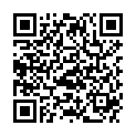 QR PHYTOMED BERGAMO MINZ AETH/OEL