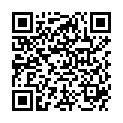 QR DURACELL BATT FOTO ULTRA 245