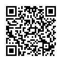 QR SONY HOERGERAETBATT ZINCA 675D