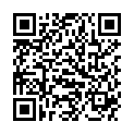 QR PUDOL KCHEN-KRAFTREINIGER FL 1