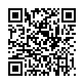 QR BRAUN ZERSTAEUBER BEIER