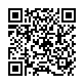 QR DELU KOCHFELDPUTZLINGE GLASKER