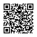 QR BZ TUNNELBUERSTE SCHWARZ