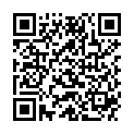 QR BIBI BABYBUERSTE U KAMM SV-A+B