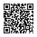 QR AROMAL LAVENDELSAECKLI