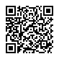 QR HERBA STIRNBAND SCHW 4 STRNGE