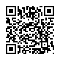 QR ASSISTENT BLUTMISCHPIP ROT/EC