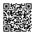 QR SYOSS COLORI TOOL FARBFLE REIN