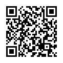 QR BALTHASAR MAXI TEELICHTE M ALU