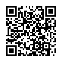 QR BORT STABILO COL ELBDE 6CMX5M