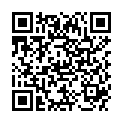 QR DURACELL BATT FOTO MN9100 1.5V