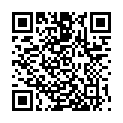 QR BRAUN STUFENKEGEL LOCK MAENNLI