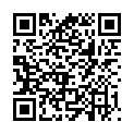 QR ISSRO MANGO SCHNITZE