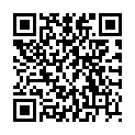 QR PANASONIC BATTERIEN AA LR6