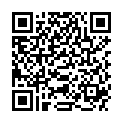 QR HERBA NAGELPOLIERFEILE 20CM WE