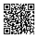 QR SONNENTOR HAGEBUTTE TEE