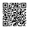 QR BALKE SCHNIT INGWER HONIG