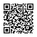 QR HERBA HAARFRBEPINSEL SCHWARZ