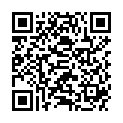 QR NATU-HIT PFEFFERMINZ BIO BOX