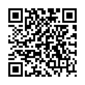 QR ALPMED ERSATZGUMMIB F METALAPO