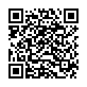 QR Phytomed Schussler Nr1=12 Triturat Mischung 500г