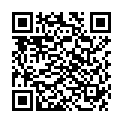 QR Wala Disci Comp Cum Argento шарики бутылка 20г