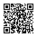 QR PHARMIS BLISTERFO QUATTRO SMAL