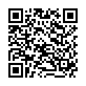 QR Olia Haarfarbe 4.0 Dunkelbraun