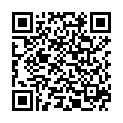 QR НовоПен 5 инъекционное устройство серебристое