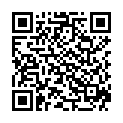 QR Scholl Druckschutz Schaum 9 пластырей