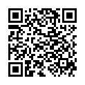 QR FINITO WESPENFALLE NACHFUELLBE