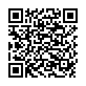 QR BASTOS EINWEG SCHALE PLASTIK