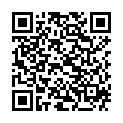 QR IDEAL TEXTILENTFAERBER