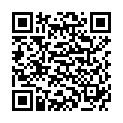 QR Chrisofix Mehrzweckschiene 90см