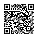 QR BORT StabiloBasic Rückenbandage 3 spezial Pel silb