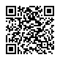 QR OMIDA Stallapotheke B 32 Einzelmittel