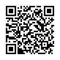 QR BORT AchilloStabil Plus Sport XXL schwarz