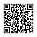 QR VT IMPULS AD KKL2 IV n/s gFs schwarz