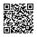 QR VT IMPULS AD KKL2 III p/s gFs caramel