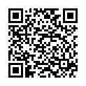 QR VT IMPULS AD KKL2 VI n/s gFs schwarz