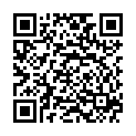 QR VT IMPULS AD KKL2 IV n/l gFs schwarz