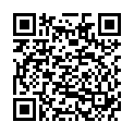 QR VT IMPULS AD KKL2 V p/s gFs schwarz